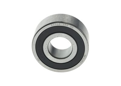 Pavaros guolis, kintamosios srovės generatorius