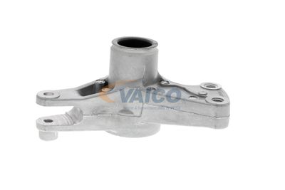 INTINZATOR CUREA TRANSMISIE VAICO V3003521 37