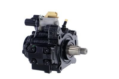 POMPA DE INALTA PRESIUNE REMANTE 002002000512R 48