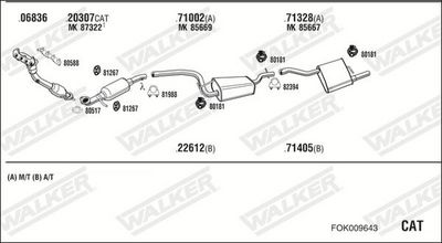 SISTEM DE ESAPAMENT WALKER FOK009643