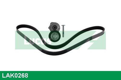 SET CUREA TRANSMISIE CU CANELURI