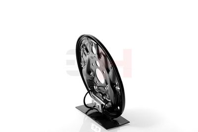 PROTECTIE STROPIRE DISC FRANA GH GH484325H 23