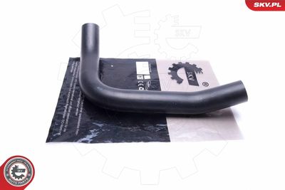 FURTUN EAR SUPRAALIMENTARE