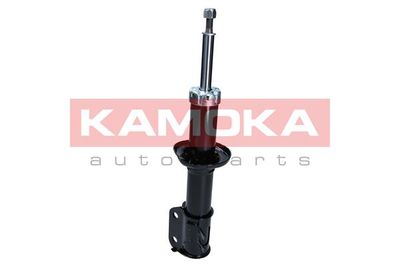 Shock Absorber 2001039