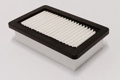 FILTRU AER CHAMPION CAF101231P 1