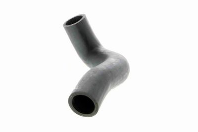 FURTUN EAR SUPRAALIMENTARE VAICO V240698 3