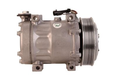 COMPRESOR CLIMATIZARE WALKER WCP00876 1