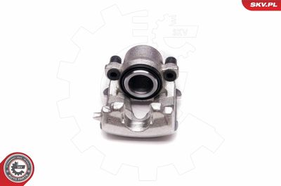 Brake Caliper 23SKV112