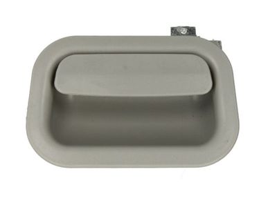 HALTEGRIFF INNENAUSSTATTUNG PACOL VOLDH004