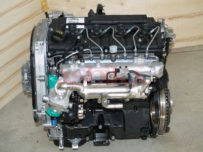 ASHIKA Komplettmotor