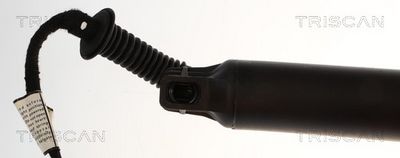 AMORTIZOR PORTBAGAJ TRISCAN 871024307 2