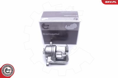 Brake Caliper 50SKV481