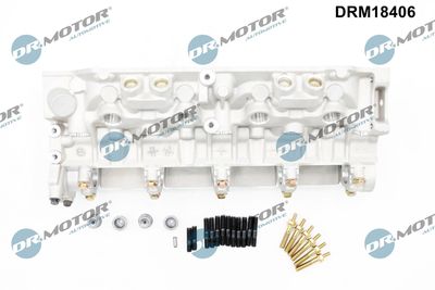CHIULASA Dr.Motor Automotive DRM18406 1