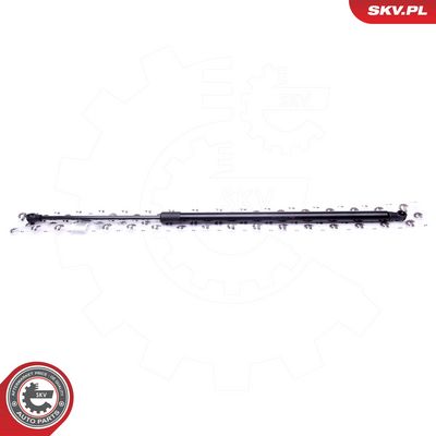 Dujinė spyruoklė, bagažinė