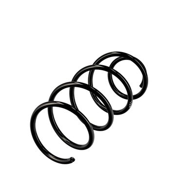 ARC SPIRAL EIBACH R10246 15