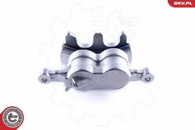 Brake Caliper 50SKV022