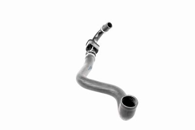 LADELUFTSCHLAUCH VAICO V460825 3