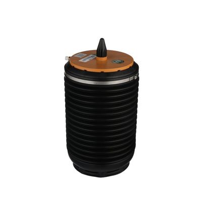 LUFTFEDER FAHRWERK Arnott A3892 36