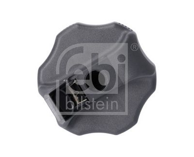 Lukning, brændstoftank FEBI BILSTEIN 180317