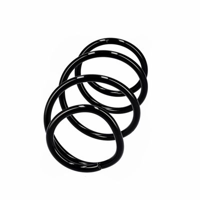 ARC SPIRAL EIBACH R10721 2