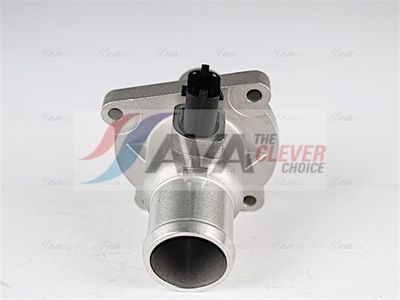 TERMOSTAT LICHID RACIRE