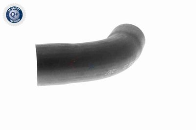 FURTUN EAR SUPRAALIMENTARE VAICO V201622 4