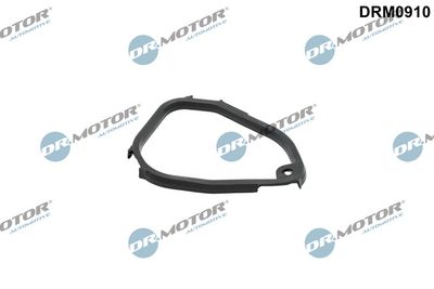 GARNITURA CARCASA CUTIE VITEZA - TRANSMISIE