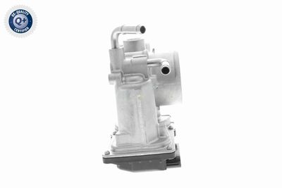 CARCASA CLAPETA ACKOJA A70810013 10