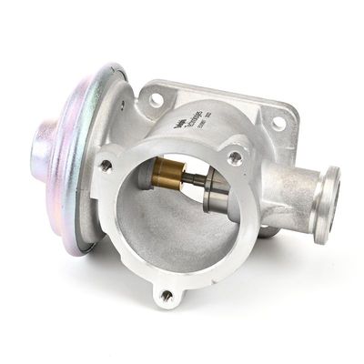 AGR-VENTIL DELPHI EG1065712B1 20