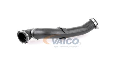 FURTUN EAR SUPRAALIMENTARE VAICO V251176 56