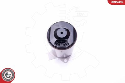 ELEMENT DE REGLARE ARBORE EXCENTIRC (CURSA VARIABILA VENTIL ESEN SKV 96SKV087 4