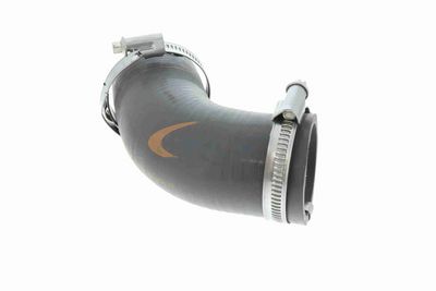 LADELUFTSCHLAUCH VAICO V461033 8