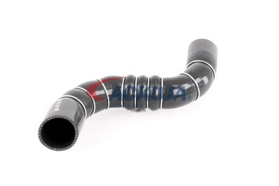 FURTUN EAR SUPRAALIMENTARE ACKOJA A389602 54