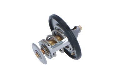TERMOSTAT LICHID RACIRE NRF 725087 34