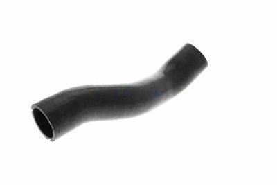 FURTUN EAR SUPRAALIMENTARE ACKOJA A389605 8