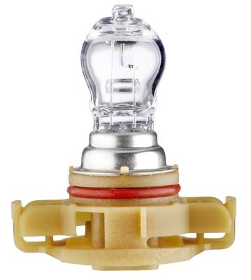 Vorschau Glühlampe, Nebelscheinwerfer Ansicht 2