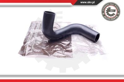 ESEN SKV 43SKV065 Деталь для FIAT DUCATO Фургон (244_) 2.3 JTD