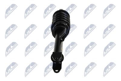AMORTIZOR NTY ACH141 17