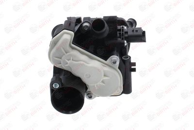 FLANSA LICHID RACIRE BIRTH 81801 4