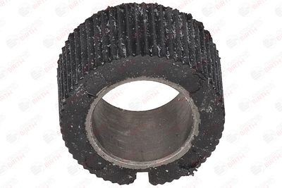 BUCSA ARBORE DE DIRECTIE BIRTH 4848 1