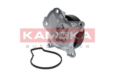 Water Pump, engine cooling T0262