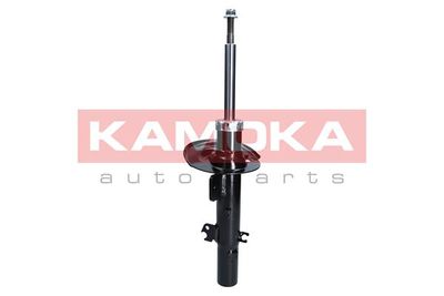 Shock Absorber 2000507