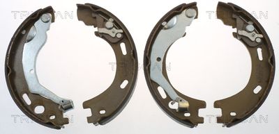 TRISCAN Bremsbackensatz, Feststellbremse