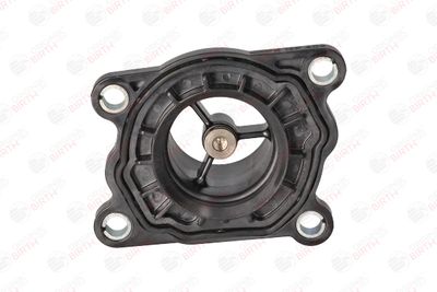 FLANSA LICHID RACIRE BIRTH 81798 7