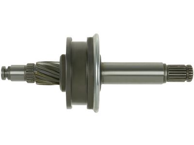Vorschau Ritzel, Starter