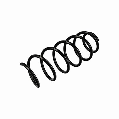 ARC SPIRAL EIBACH R11019 4