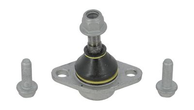 Trag-/Führungsgelenk