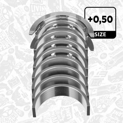 SET RULEMT ARBORE COTIT