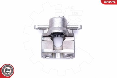 Brake Caliper 46SKV972