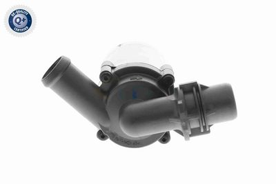 WASSERUMWäLZPUMPE STANDHEIZUNG VEMO V20160028 10